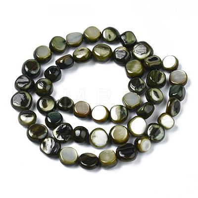 Natural Trochid Shell/Trochus Shell Beads Strands SHEL-S258-083-B01-1