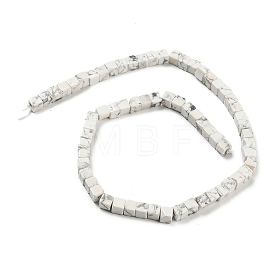 Natural Howlite Beads Strands G-Q1008-B17-1