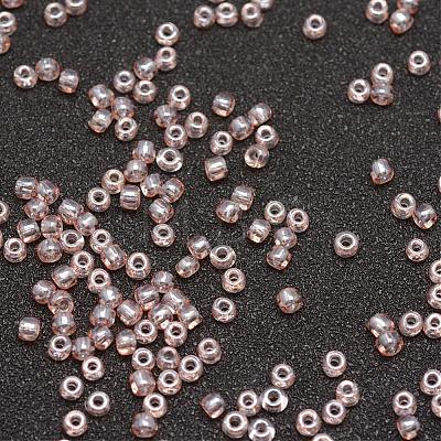 8/0 Glass Seed Beads X-SEED-J012-F8-L116-1