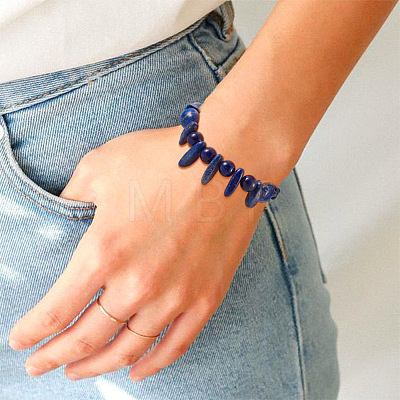 Kissitty 4 Strands 4 Style Natural Lapis Lazuli Beads Strands G-KS0001-12-1