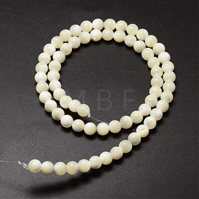Natural Sea Shell Beads Strands SSHEL-K013-6mm-A-1