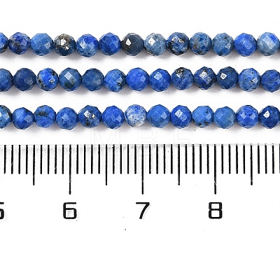 Natural Lapis Lazuli Beads Strands G-L587-A03-02-1