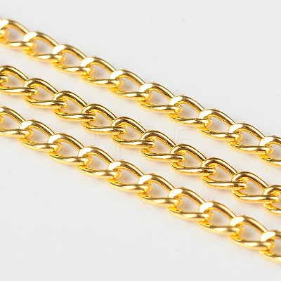 Iron Twisted Chains Curb Chains CHS003Y-G-1