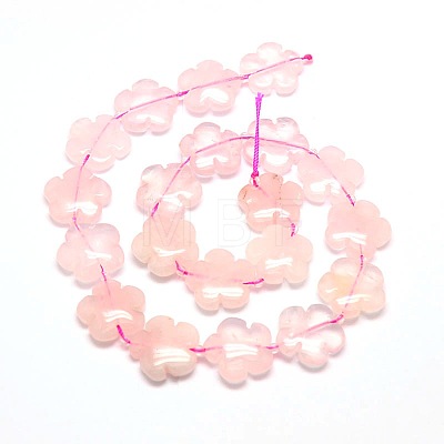 Natural Rose Quartz Flower Beads Strands G-L241B-05-1