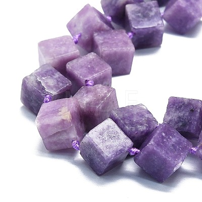 Natural Lepidolite/Purple Mica Stone Beads Strands G-K245-G02-03-1