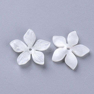 5-Petal Cellulose Acetate(Resin) Bead Caps KY-N006-02-B02-1