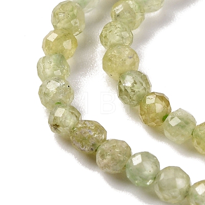 Natural Green Garnet Beads Strands G-A235-A02-01-1