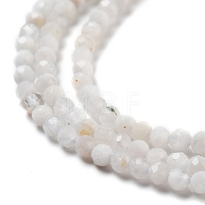 Natural Rainbow Moonstone Beads Strands G-G161-A01-01-1