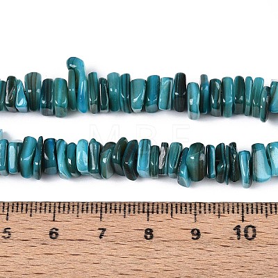 Natural Freshwater Shell Beads Strands SHEL-T020-40D-1