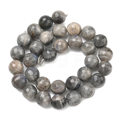 Natural Labradorite Beads Strands G-L642-F07-12mm-1
