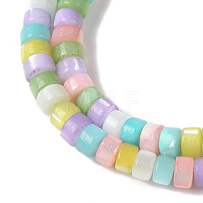 Natural Trochid Shell/Trochus Shell Beads Strands BSHE-H018-04-1