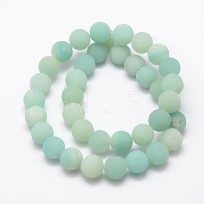 Natural Amazonite Beads Strands G-K209-03A-10mm-1