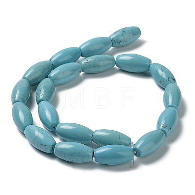 Natural Howlite Beads Strands G-E604-I01-1