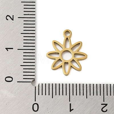 304 Stainless Steel Charms STAS-S123-01G-10-1