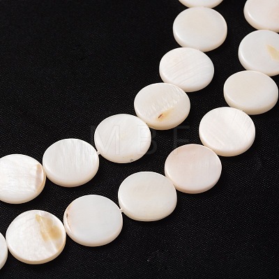 Natural White Shell Beads Strands X-PBB251Y-2-1