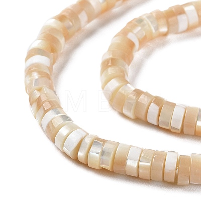 Natural Trochus Shell Beads Strands BSHE-E030-09A-02-1