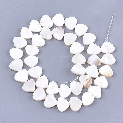 Freshwater Shell Beads Strands SHEL-S276-16-1