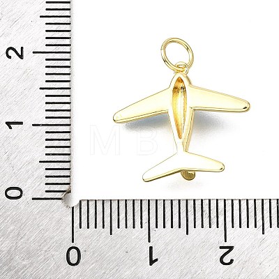 Brass Enamel Pendants KK-V011-24G-1