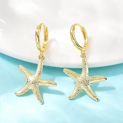 Brass Hoop Earrings EJEW-Q036-03C-G-1