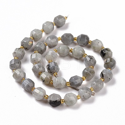 Natural Labradorite Beads Strands G-G990-F04-1