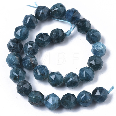 Natural Apatite Beads Strands G-N327-03A-02-1