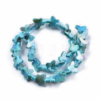 Natural Freshwater Shell Beads Strands SHEL-N026-206A-1
