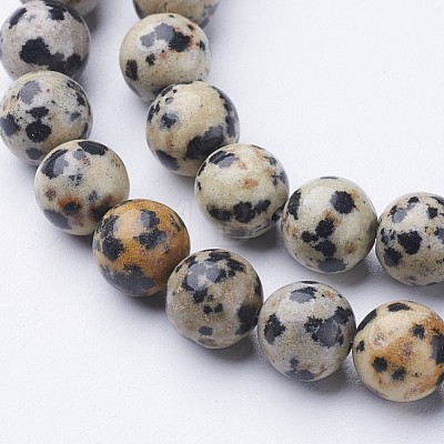 Natural Dalmatian Jasper Beads Strands X-GSR004-1