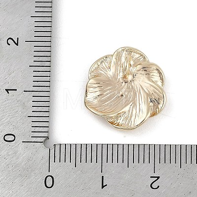 Brass Pendants KK-Z075-17G-1