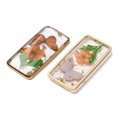 Brass & Transparent Epoxy Resin & Dried Flower Pendants RESI-G133-01G-01-1