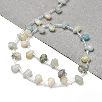 Natural Flower Amazonite Beads Strands G-Q167-A10-02-1