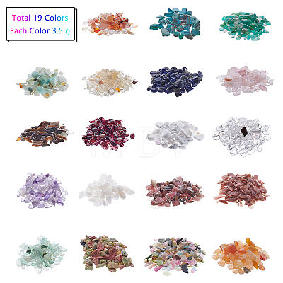 19Pcs Various Gemstone No Hole Chips in Bottles G-PH0034-50-1