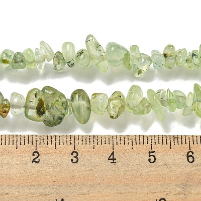 Natural Prehnite Beads Strands G-P332-41A-1
