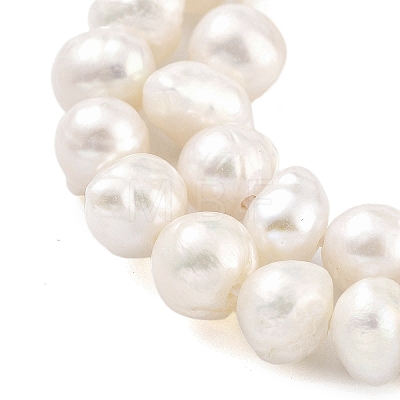 Natural Cultured Freshwater Pearl Beads Strands PEAR-C003-13B-1
