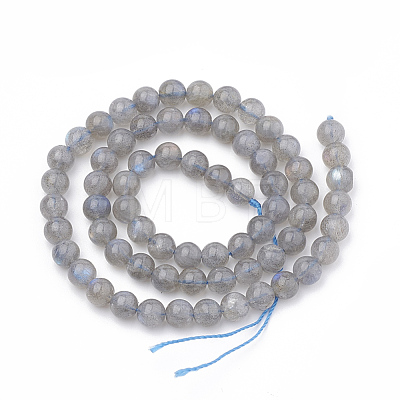 Natural Labradorite Beads Strands G-T064-70B-1