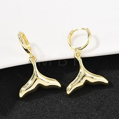 Brass Hoop Earrings EJEW-Q036-03D-G-1