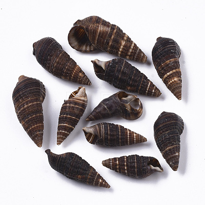 Natural Spiral Shell Beads SSHEL-S258-92-1