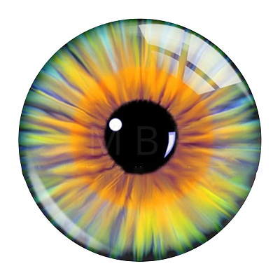 Mixed Animal Eye Pattern Glass Cabochons AJEW-WH0070-08E-1