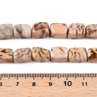 Natural Feldspar Beads Strands G-T138-84-1