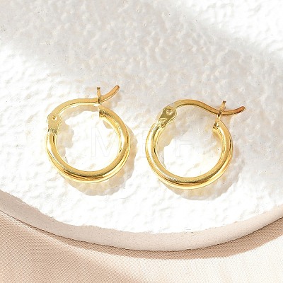 925 Sterling Silver Hoop Earrings STER-P047-13A-G-1