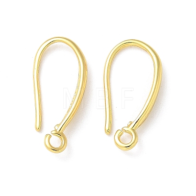 Brass Earring Hooks LS-KK-A236-13G-1