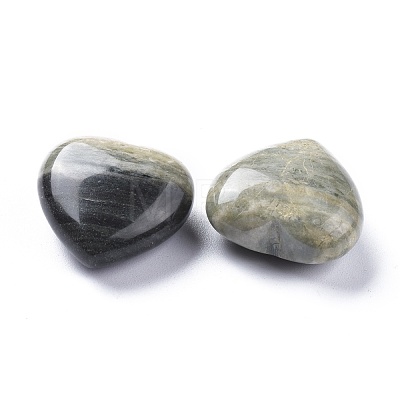 Natural Black Silver Leaf Jasper Heart Love Stone G-K416-04C-01-1