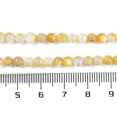 Natural Trochus Shell Beads Strands BSHE-H109-12B-1