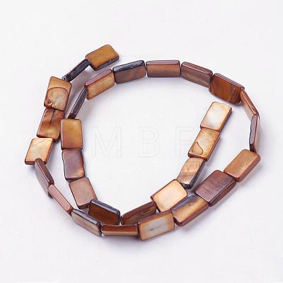 Natural Freshwater Shell Beads Strands BSHE-L036-25-1