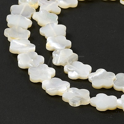 Natural White Shell Beads Strands SHEL-F003-07-1