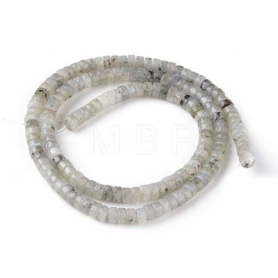 Natural Labradorite Beads Strands G-L528-08-1