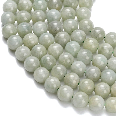 Natural Myanmar Jade/Burmese Jade Beads Strands G-L642-B11-8mm-1