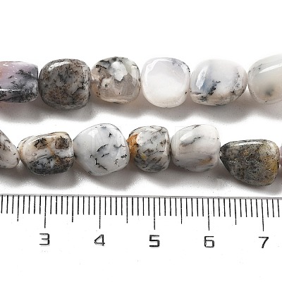 Natural White Opal Beads Strands G-C179-F02-01-1