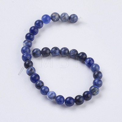 Natural Sodalite Beads Strands X-G-G515-6mm-07-1