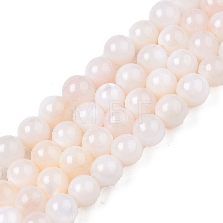 Natural Freshwater Shell Beads Strands BSHE-T009A-01B-1