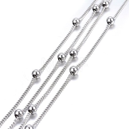 Non-Tarnish 3.28 Feet 304 Stainless Steel Twisted Chains/Curb Chains X-CHS-H024-01P-A-1
